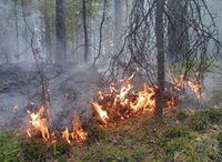 Пажароопасный период Пажароопасный период