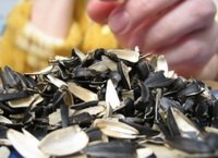 Больше 5 тысяч пачек семечек изъято из продажи в Костанае Больше 5 тысяч пачек семечек изъято из продажи в Костанае