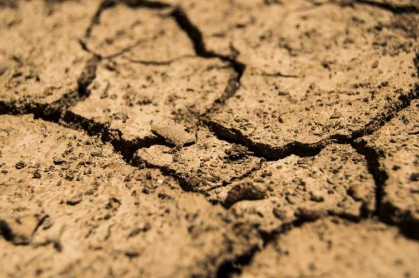 Ожидается сильная засуха в трёх областях РК