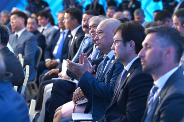 Три приграничных региона восстановят в Казахстане