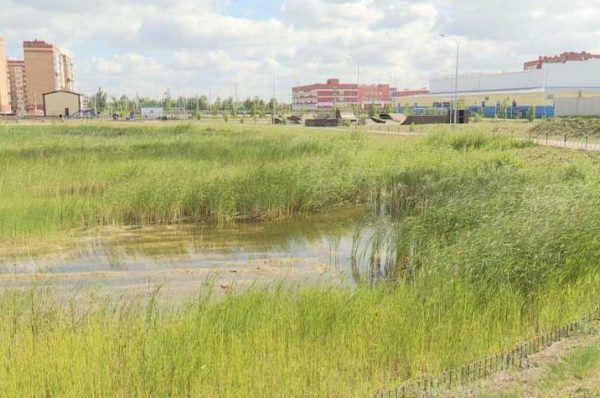 Озеро Тарелочка в микрорайоне «Аэропорт» в этом году должно преобразиться