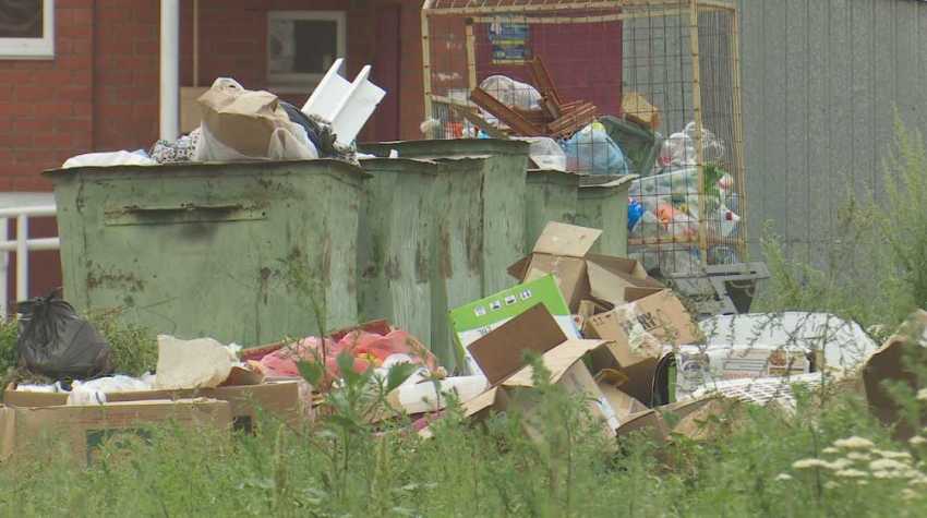 Фотография для мусора Начисление за три года. В "Тазалык" рассматривают способы заставить костанайцев платить за вывоз мусора
