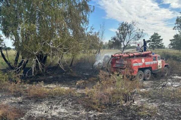 Лесной пожар в Наурзумском заповеднике ликвидирован