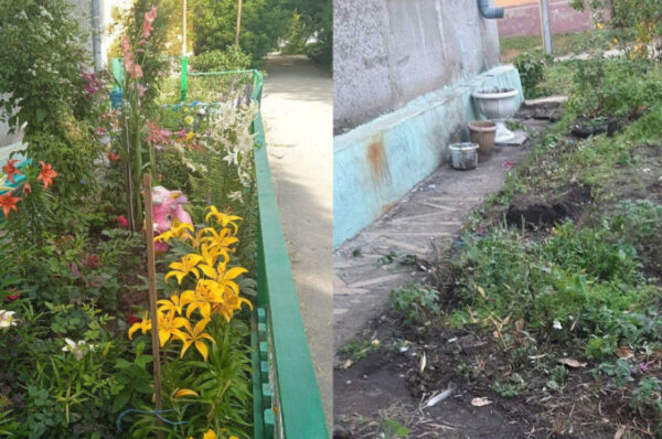Жительницу Рудного оштрафовали за цветы у дома: чиновник готов вернуть ей деньги