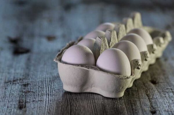Почему дорожают яйца в Казахстане, ответил министр торговли