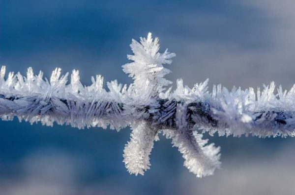 Скандинавский антициклон принесет 30-градусные морозы — прогноз
