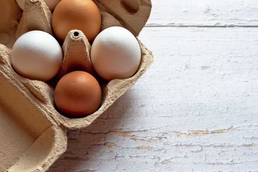 Фотография для новости ДЗРК не может продолжить расследование в отношении птицефабрики в Костанайской области по поводу высоких цен на яйца