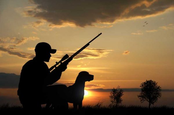 В Казахстане утвердили лимиты на отстрел животных во время охоты