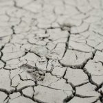Фотография для новости Вслед за паводками: в мае в Казахстане ожидается засуха