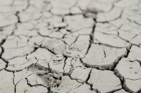 Прогноз предстоящей засухи выпустил Казгидромет