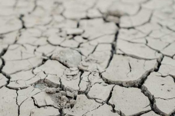 Прогноз предстоящей засухи выпустил Казгидромет