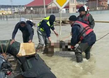 Фотография для новости Труп вынесло потоком воды с кладбища