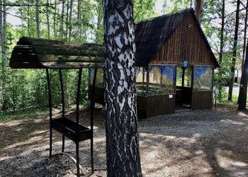 Фотография для новости Новые правила. Мангальные зоны на природе теперь запрещены