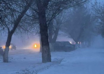 Фотография для новости