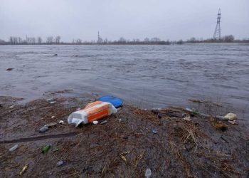 Фотография для новости Выплаты за погибший скот. Заявление Минсельхоза