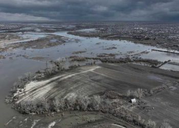 Фото предоставлено пресс-службой акима Костанайской области