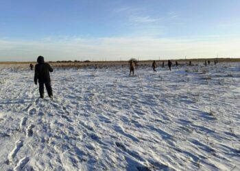 Фото ДЧС области