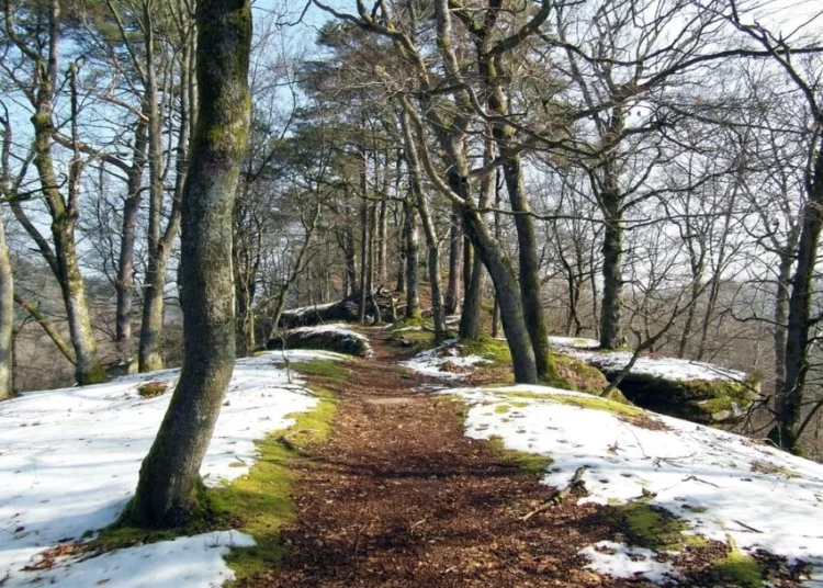 Изображение для новости: Какой будет погода в Костанае и области 17 марта