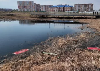 Изображение 1 для На благоустройство озера "Тарелочка" снова будет объявлен конкурс