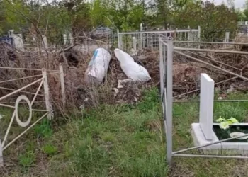 Изображение 1 для Устроили свалку на кладбище