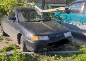 Изображение 2 для Сильный ветер срывает крыши и валит деревья в Костанайской области
