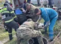 Изображение 3 для Надышались. Двух мужчин из колодца вытащили спасатели в Костанайской области