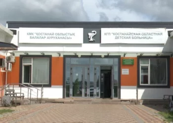 Изображение 1 для В Костанайской детской областной больнице готовятся к внедрению капсульной эндоскопии
