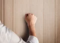 Изображение 3 для Приготовиться к визитам просят казахстанцев
