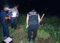 Изображение 1 для Плантацию с кустами каннабиса обнаружили полицейские в Костанайской области