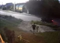 Изображение 1 для Романтический жест. Полиция установила вырвавшего с корнем цветы в Костанае