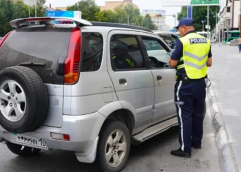 Изображение для новости: Пьяную автоледи поймали рудненские полицейские