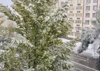 Изображение для новости: Первый снег удивил костанайцев