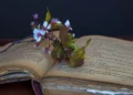 Изображение 4 для "Письмо учителю" - Сүйналина Ляззат Жайлаубайқызы