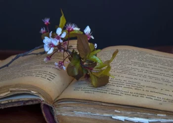 Изображение для новости: «Письмо учителю» — Сүйналина Ляззат Жайлаубайқызы.