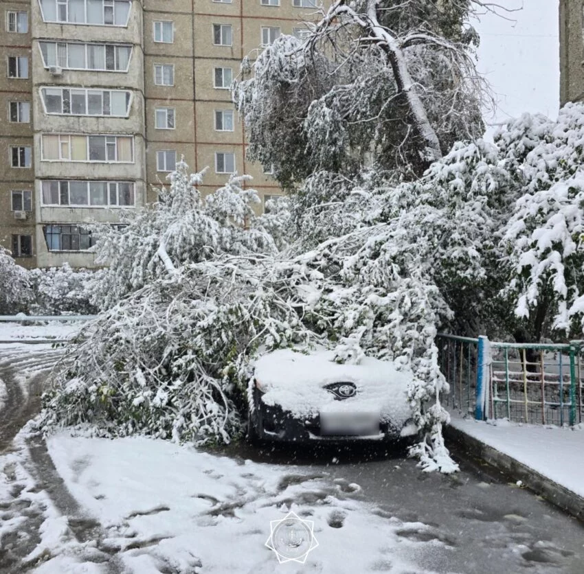 Изображение 5 для Спасатели помогают костанайцам, чьи авто оказались завалены деревьями