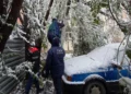 Изображение 3 для Спасатели помогают костанайцам, чьи авто оказались завалены деревьями