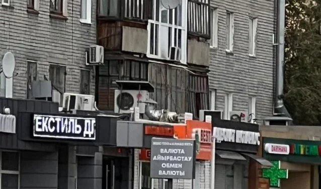 Изображение для новости: Выпуск ТВ-новостей — 10.09.25