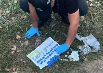 Изображение для новости: Выпуск ТВ-новостей — 26.09.25