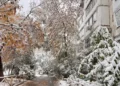 Изображение 2 для Ожидается мощное вторжение. Синоптики предупредили костанайцев