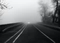туман