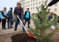 Изображение 2 для Вывезли тонны мусора, высадили деревья. Субботник состоялся в Костанайской области