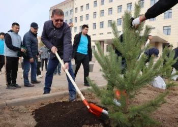 Изображение для новости: Вывезли тонны мусора, высадили деревья. Субботник состоялся в Костанайской области