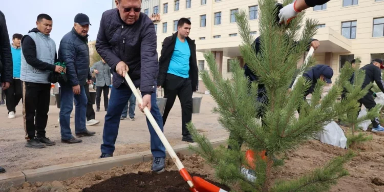 Изображение для новости: Вывезли тонны мусора, высадили деревья. Субботник состоялся в Костанайской области