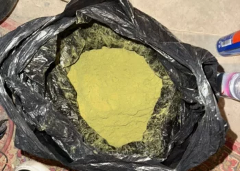 Изображение для новости: В Костанайской области пресечено незаконное культивирование наркосодержащих растений