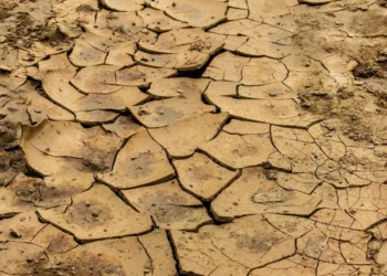 Изображение для новости: Раскрыта схема хищения глины в Костанайской области