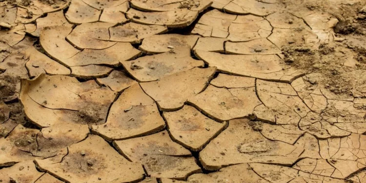 Изображение для новости: Раскрыта схема хищения глины в Костанайской области