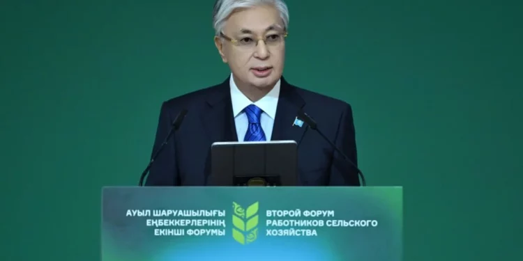 Изображение для новости: Токаев призвал бизнес поддержать развитие родных сёл и регионов