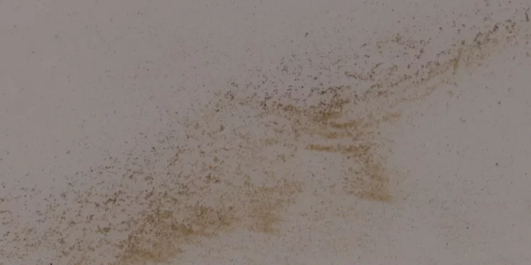 Изображение для новости: Песок из кранов: жители микрорайона в Костанае не могут нормально пользоваться водой