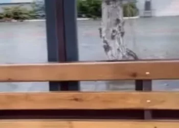 Изображение для новости: «А остановки когда доделают?