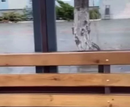 Изображение для новости: «А остановки когда доделают?